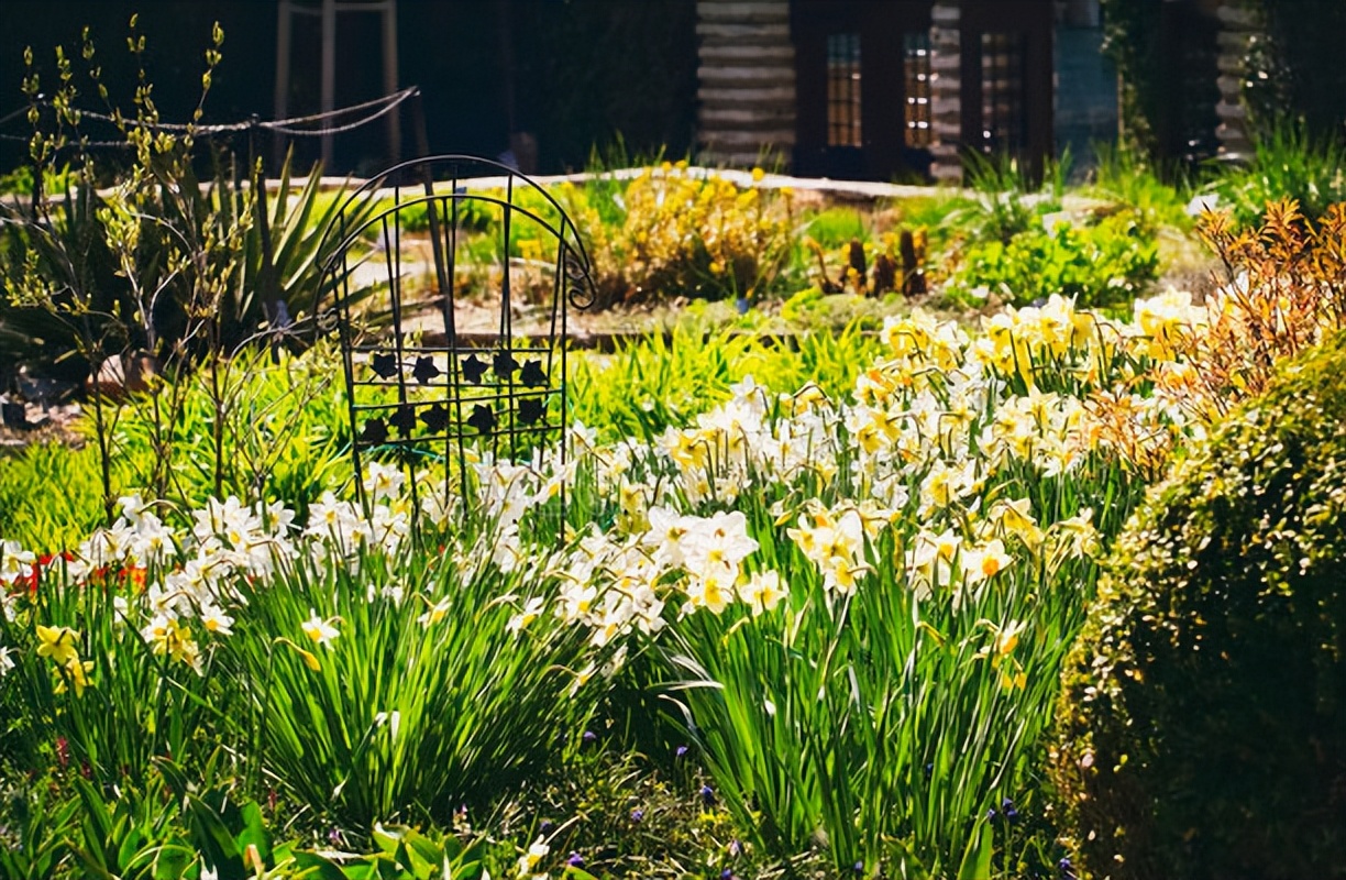 遥借清风览万里,唯有离骚驻世间。端午感怀