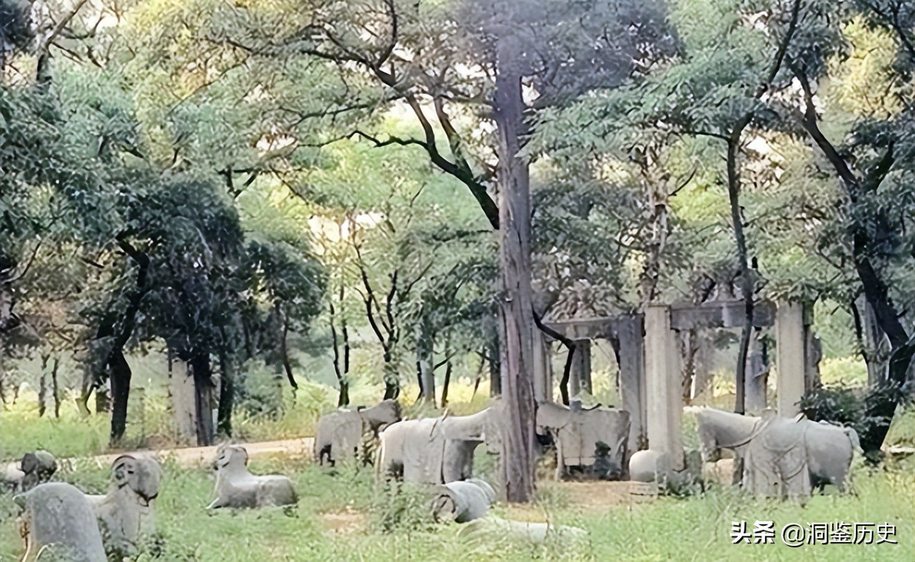 孔子的墓为何被称为孔林,孔子真正的墓穴在哪里