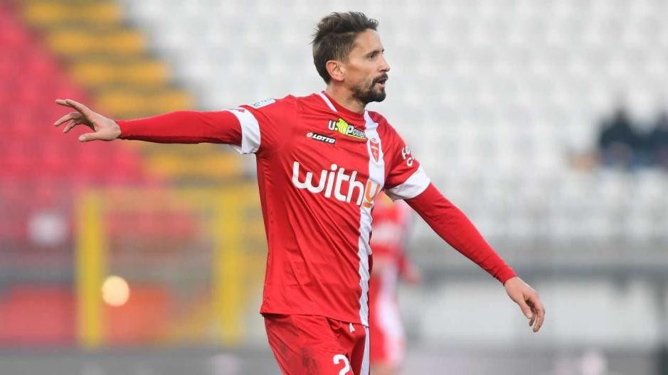 四小天鹅现状,四小天鹅现状视频