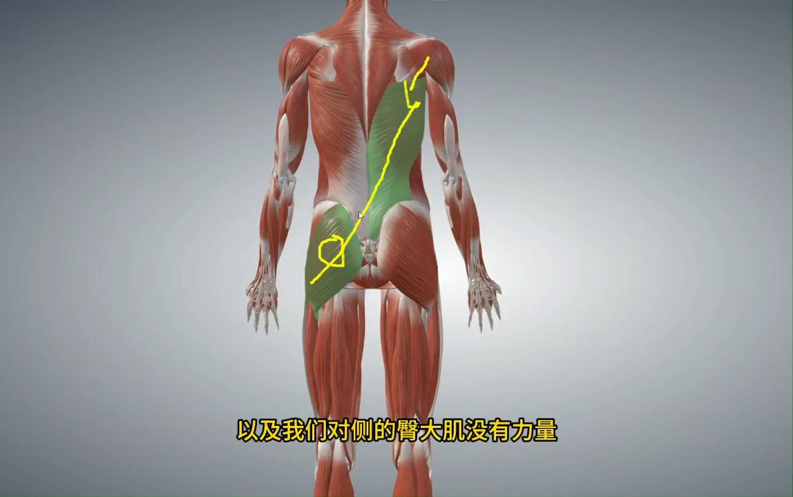 臀大肌松解法,臀大肌痛训练方法