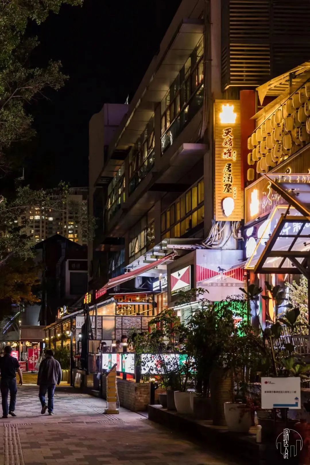 精品线路|看完这份「夜圳美打卡指南」，我心动了…