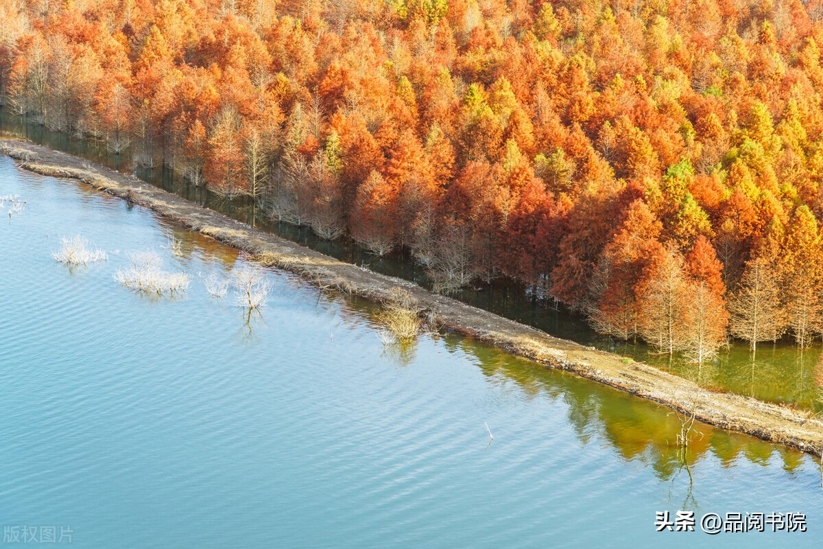 【一书一品】《草房子》