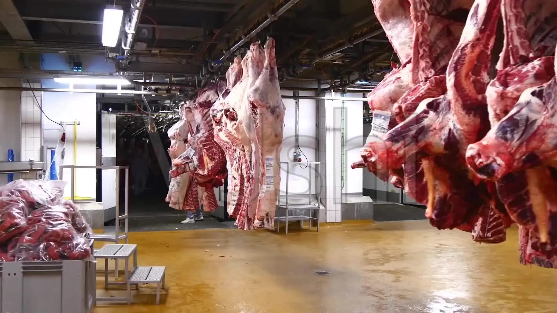 农村小成本生意项目推荐,适合农村人做的致富项目