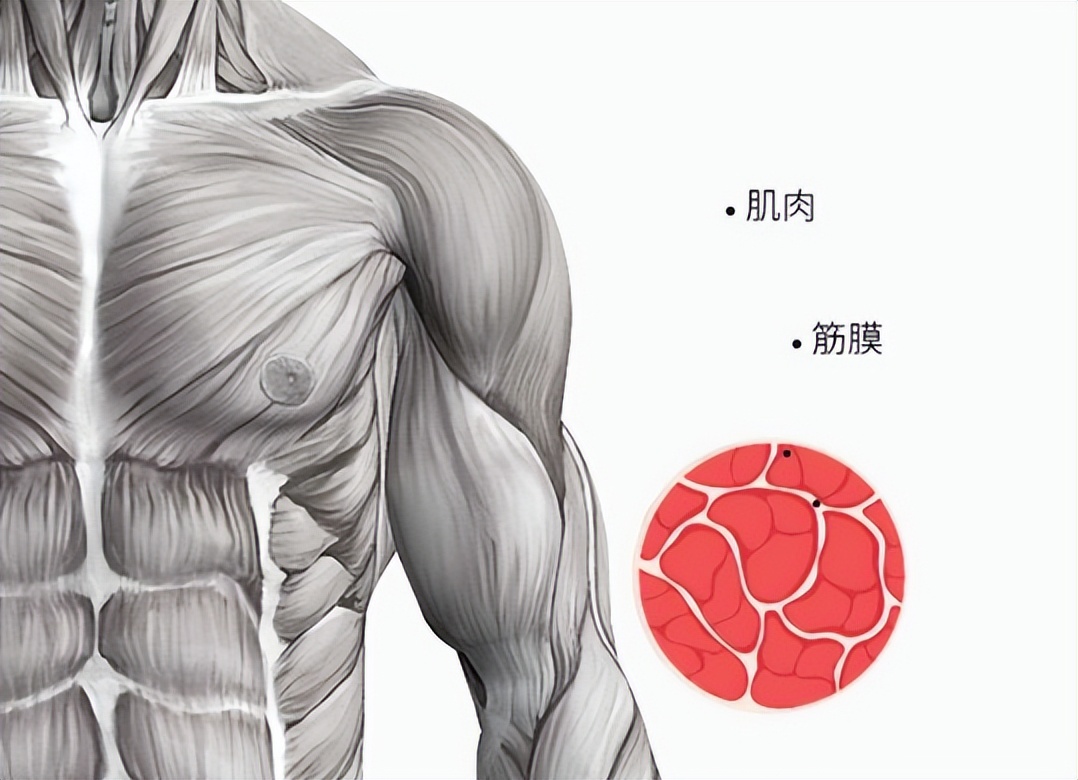 拒绝充值！2023七款筋膜枪测评资深测评师30天拆解！