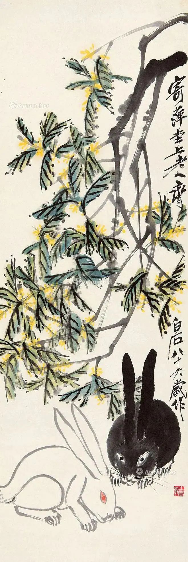 齐白石笔下富贵的牡丹,齐白石写意兔子