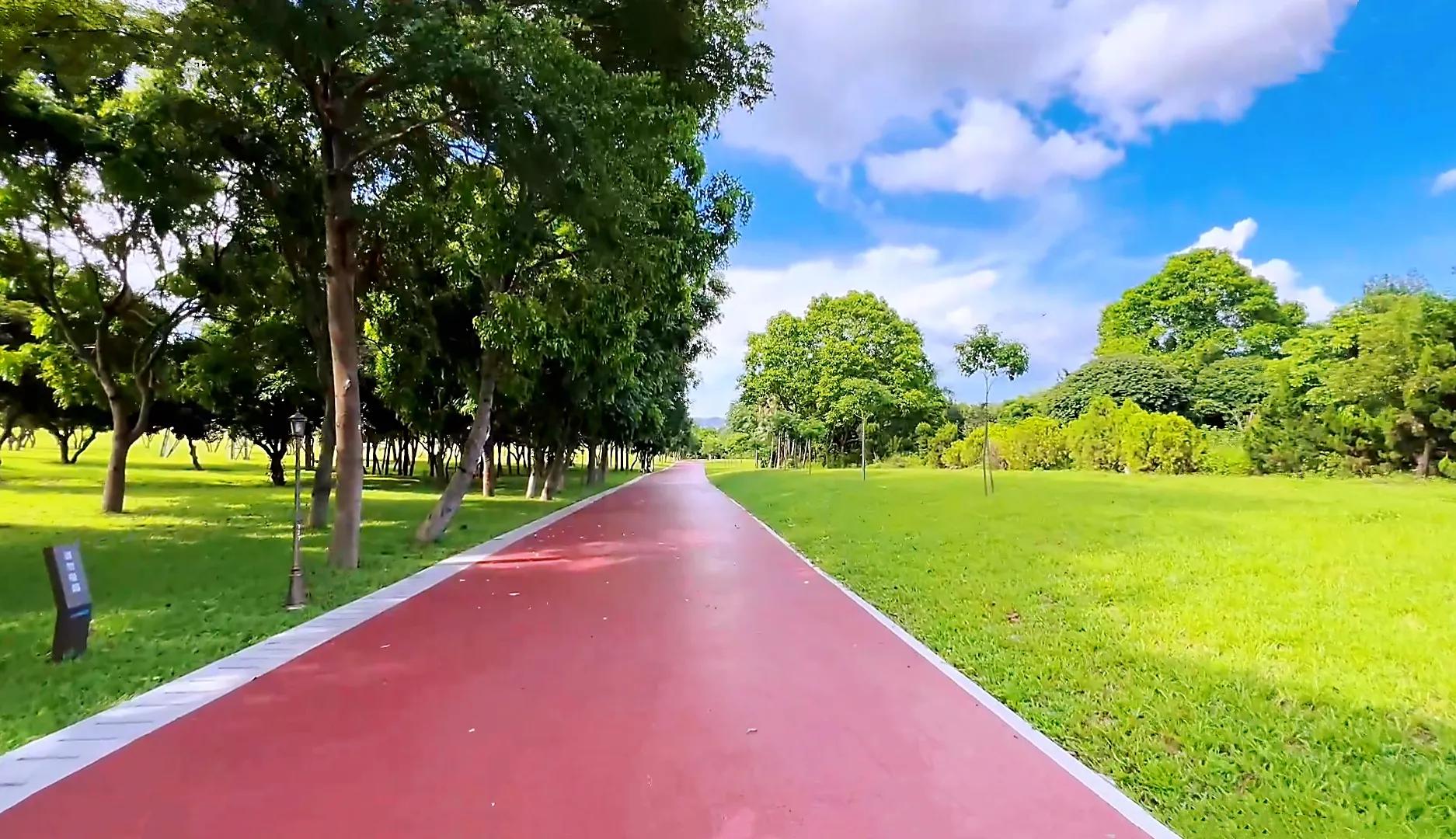 深圳环湖徒步,深圳环形绿道有哪条