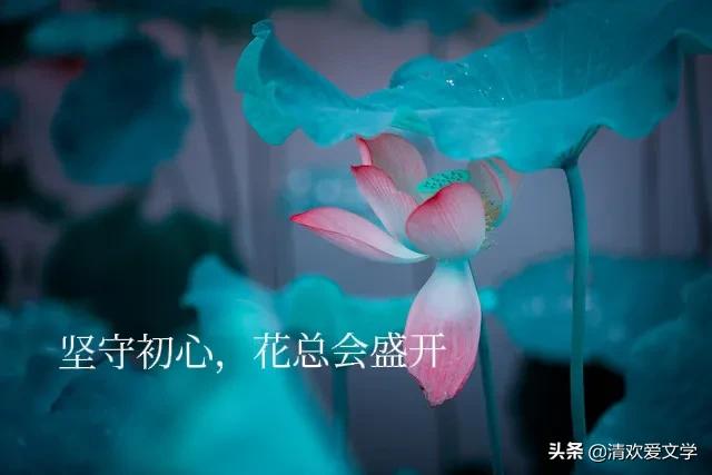 散文淡看世事沧桑内心安然无恙,尝尽人生百味方知人间冷暖美文