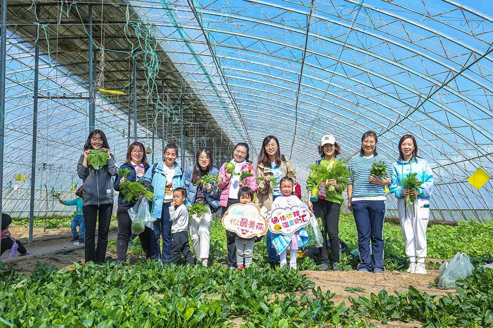 通汇资本投融资管理,通汇资本公司简介