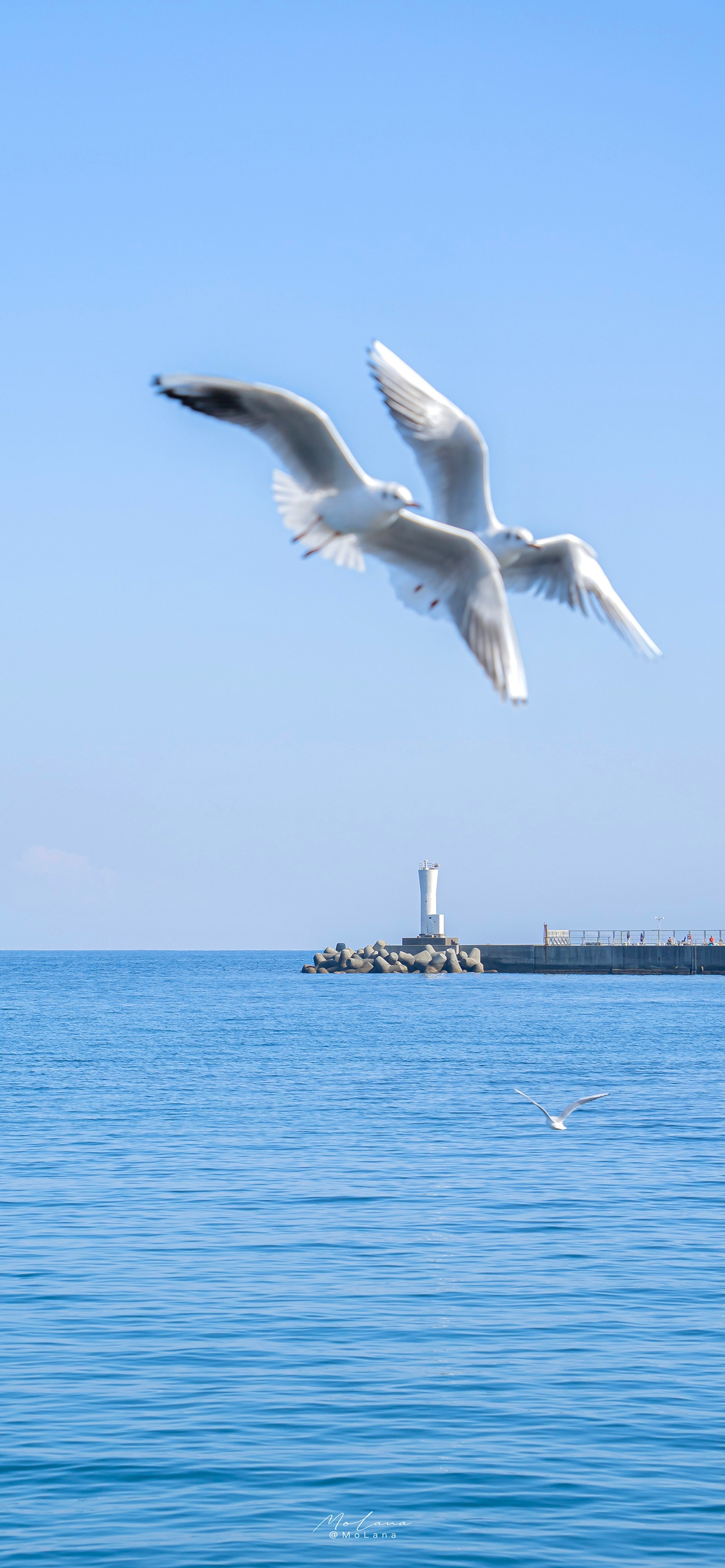 4k超清手机壁纸3120,498超清手机壁纸