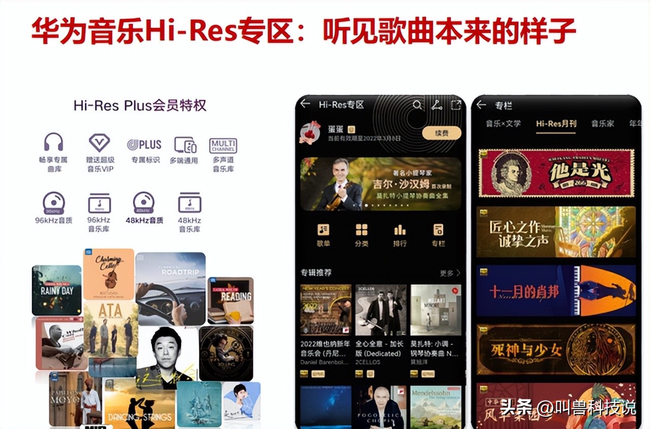 华为音乐app如何能免费下载,华为音乐12.11.9下载