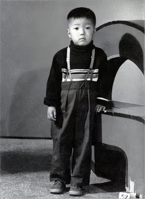 史铁生2011年捐献器官,史铁生尿毒症后写的什么