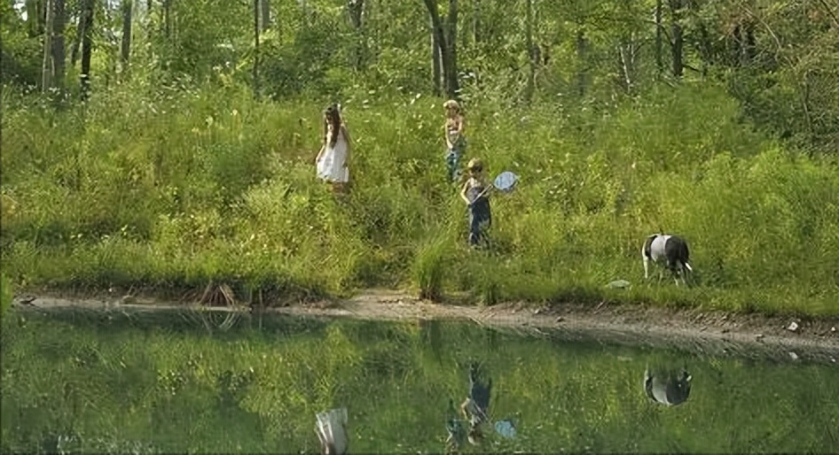 入狱19年改判无罪释放,男子坐牢8年最后被宣布无罪释放