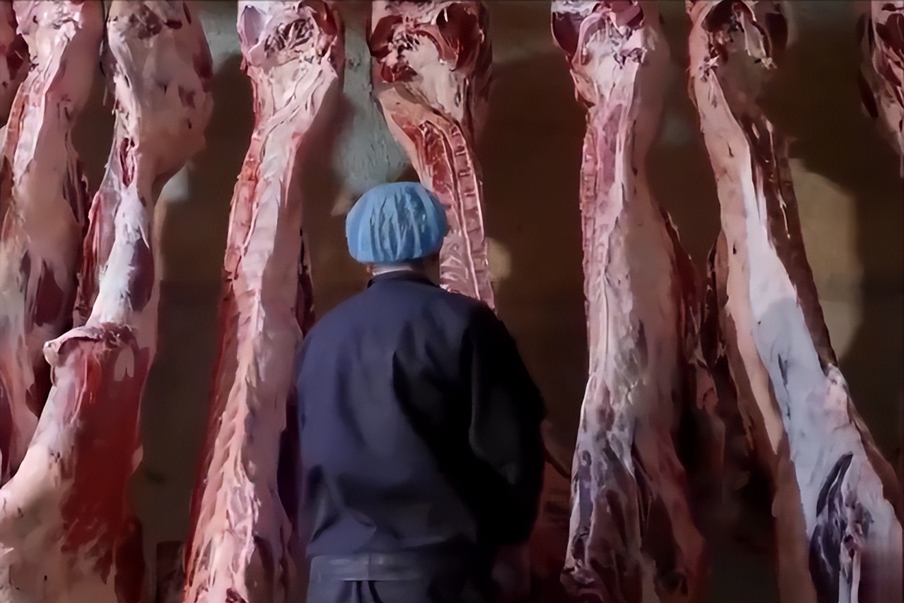 一只黄牛犊养一年能赚多少钱,养10头母黄牛一年赚多少钱