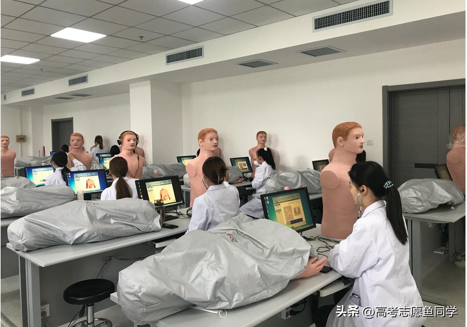 学霸专业金融法律临床,近年来理科生报考最多的十大专业