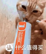 猫咪病了怎么喂药,薛定谔的猫咪教程