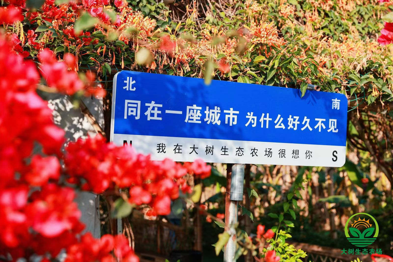 团建策划|深圳公司团建攻略|团建项目安排|