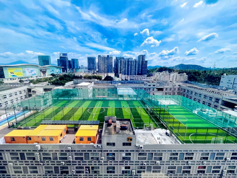 小区共用顶楼天台合法改造利用,楼顶被邻居打造成私人花园