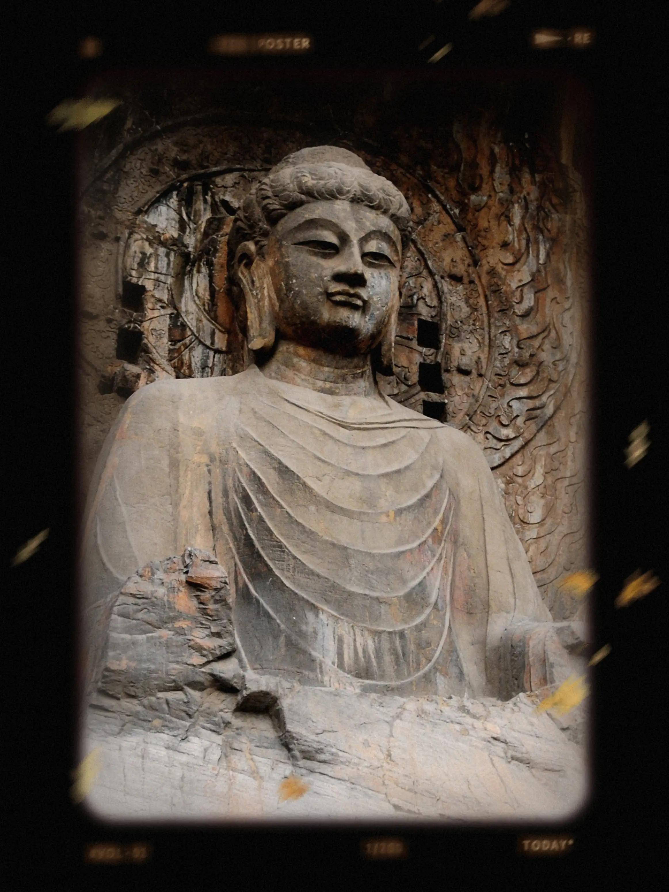 生命的微笑二胡曲谱,生命的微笑田虚