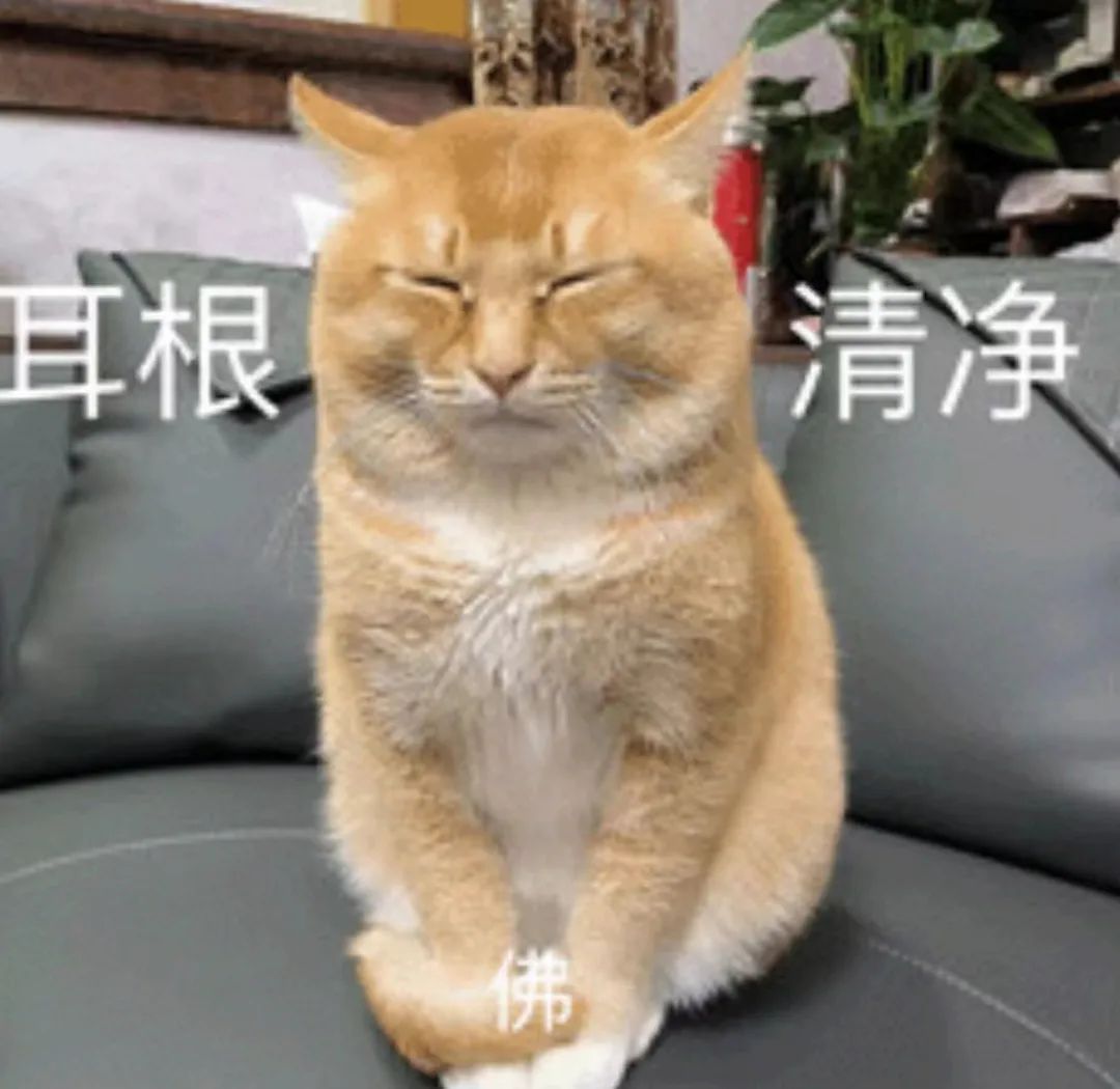 人在外地,却接到深圳的挪车电话?她打“83333333”解决了!