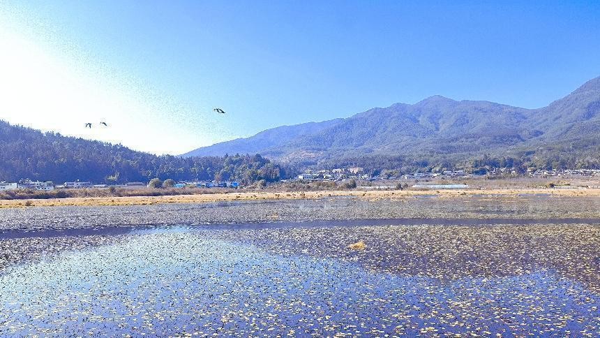 十一月云南旅游攻略腾冲 (从云南腾冲看云南旅游攻略)