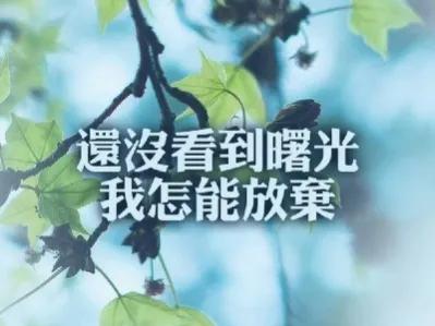 人生语录正能量人生感悟六句,生活不易活好当下经典语录