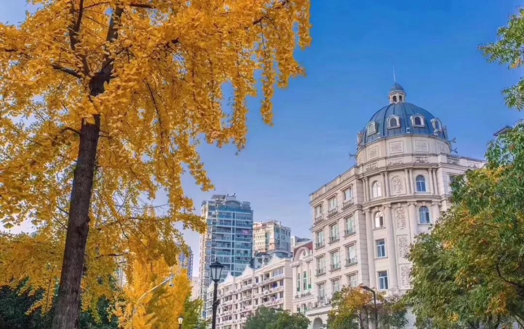 中国唯一用欧元买菜的江南小城,青田市民买菜用欧元