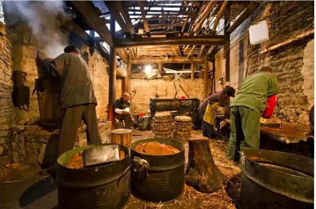 自榨油致癌哪个专家说的,自榨油被列为一级致癌物