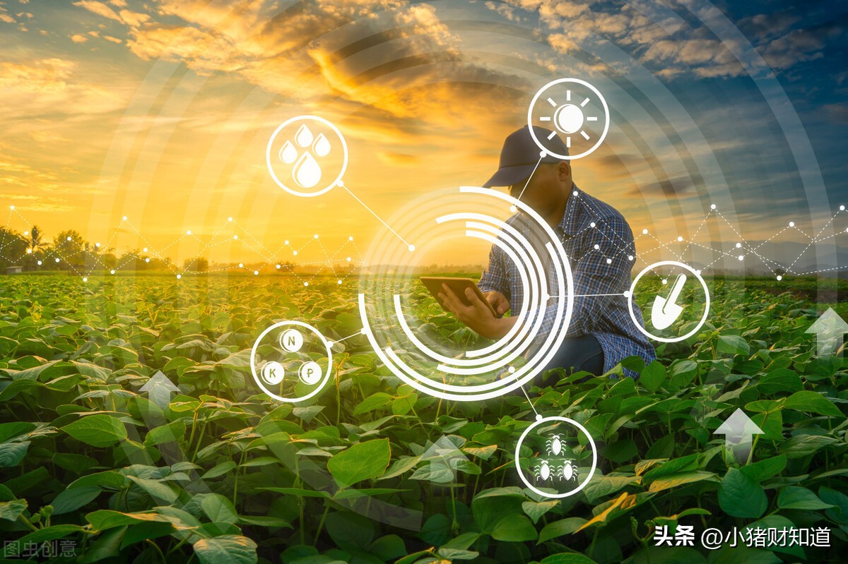 供销概念股一览表,蔚然成风组合介绍