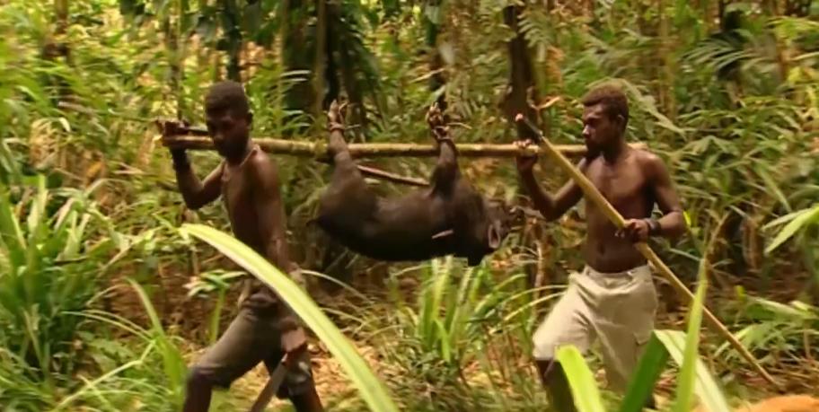 古老部落徒手捕鲨鱼,土著人原始部落捕猎鲨鱼