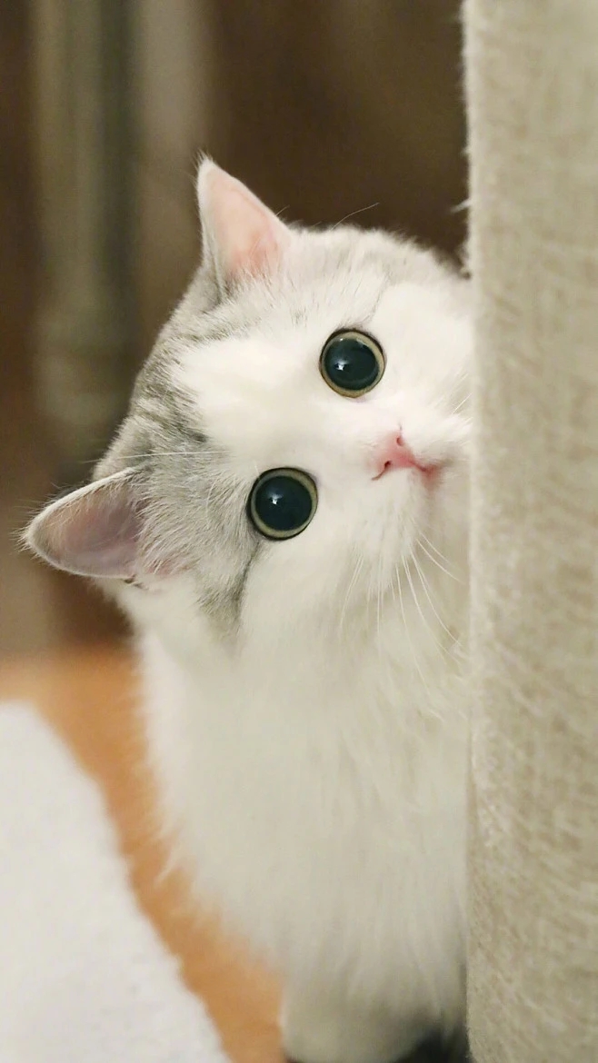 女生个性签名文案,渣男个性签名文案