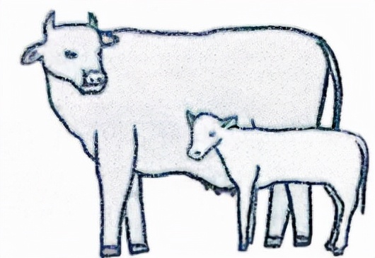 动物传染病主要内容,动物传染病介绍