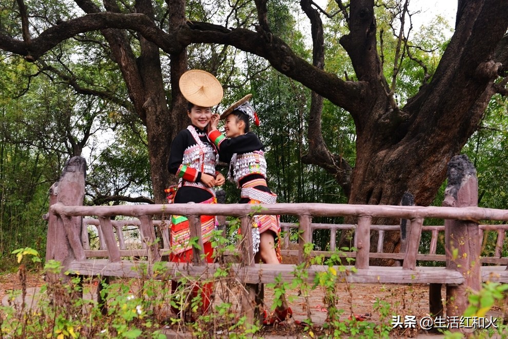 走在乡间的小路上三角梅很漂亮,走在乡间的小路上德宏傣族五重唱