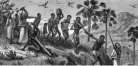 论证1650年至1950年拉丁美洲和非洲经济不平等的历史原因