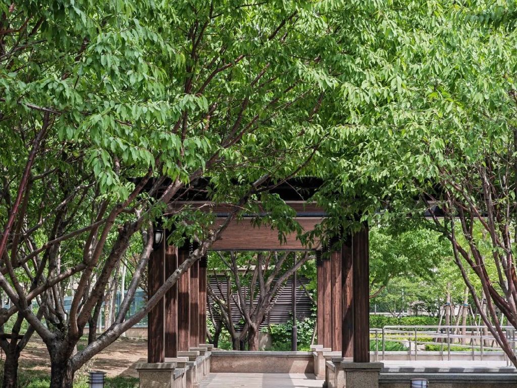 谁是影像机皇,谁才是手机机皇