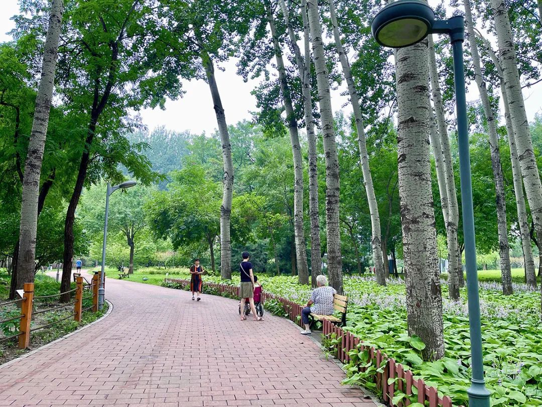 顺义区好玩的免费公园,顺义区公园景点有哪些