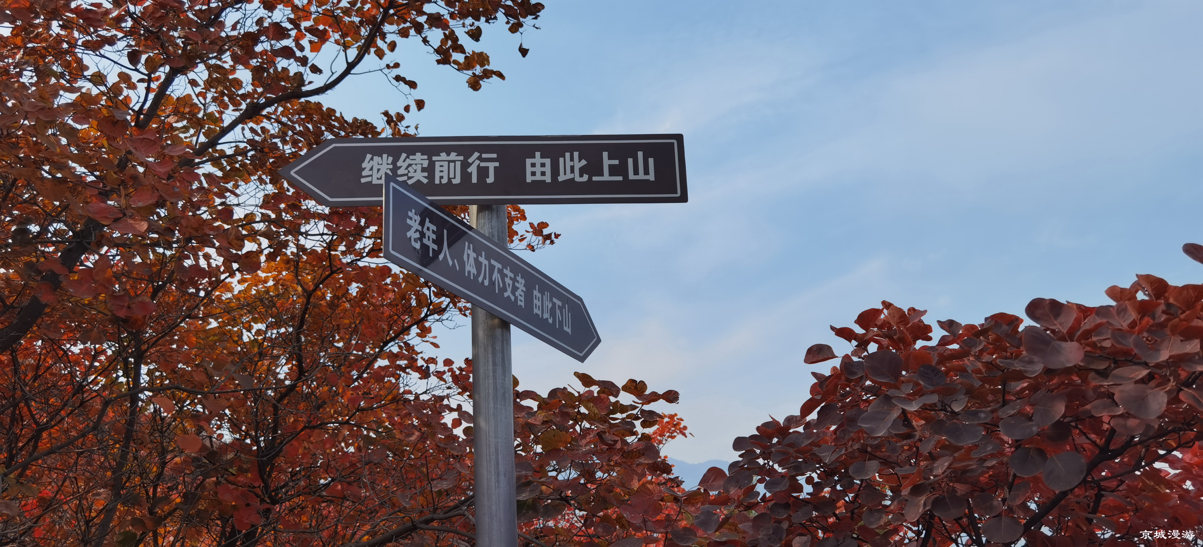 药王谷风景区赏花,快趁着秋天来打卡慕田峪看红叶呀