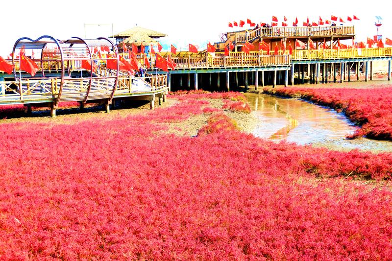 辽宁盘锦在哪个地方,去盘锦旅游哪里好