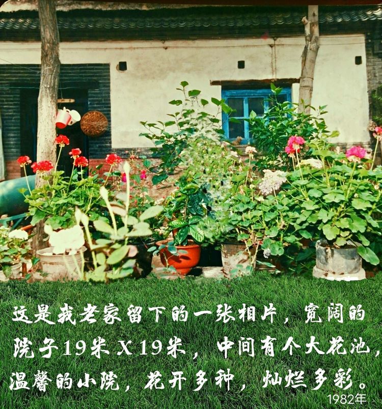 博山陶瓷70年代,博山七八十年代的陶瓷欣赏