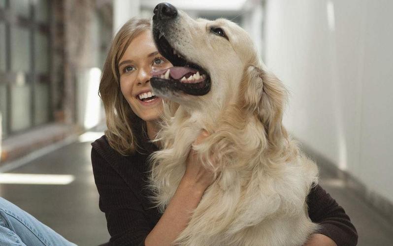 一只狗把你当妈妈的表现,一只狗把牛当作自己的妈妈