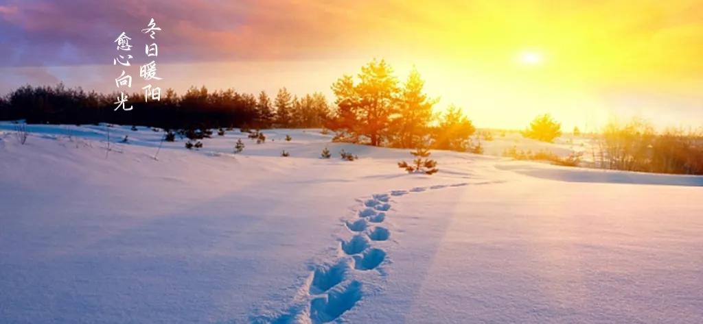 hpv感染宫颈锥切,宫颈锥切术要多少钱