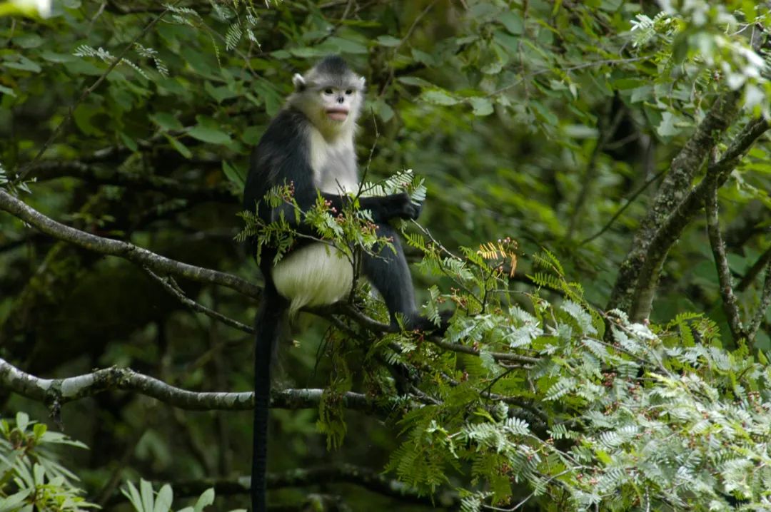 昆明七彩云南怎么样,七彩云南避暑家园