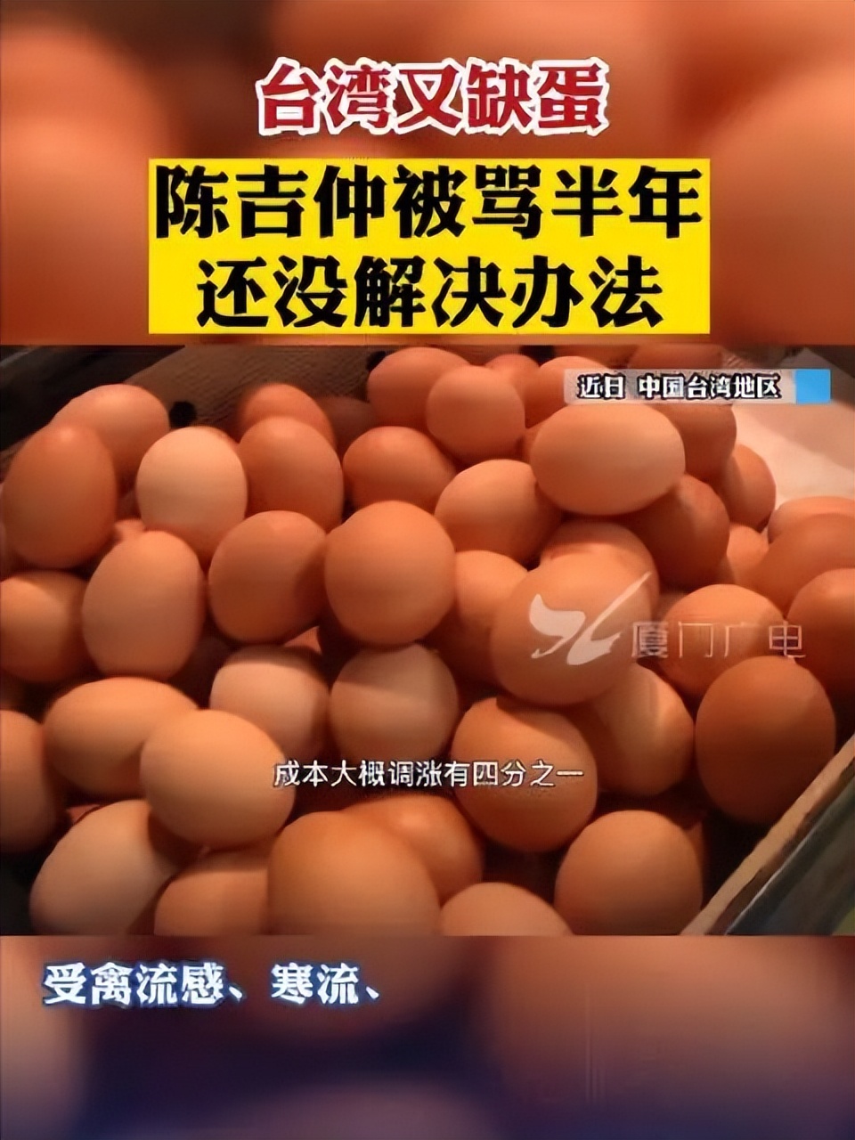 蛋荒谜题：台湾为什么会缺鸡蛋？