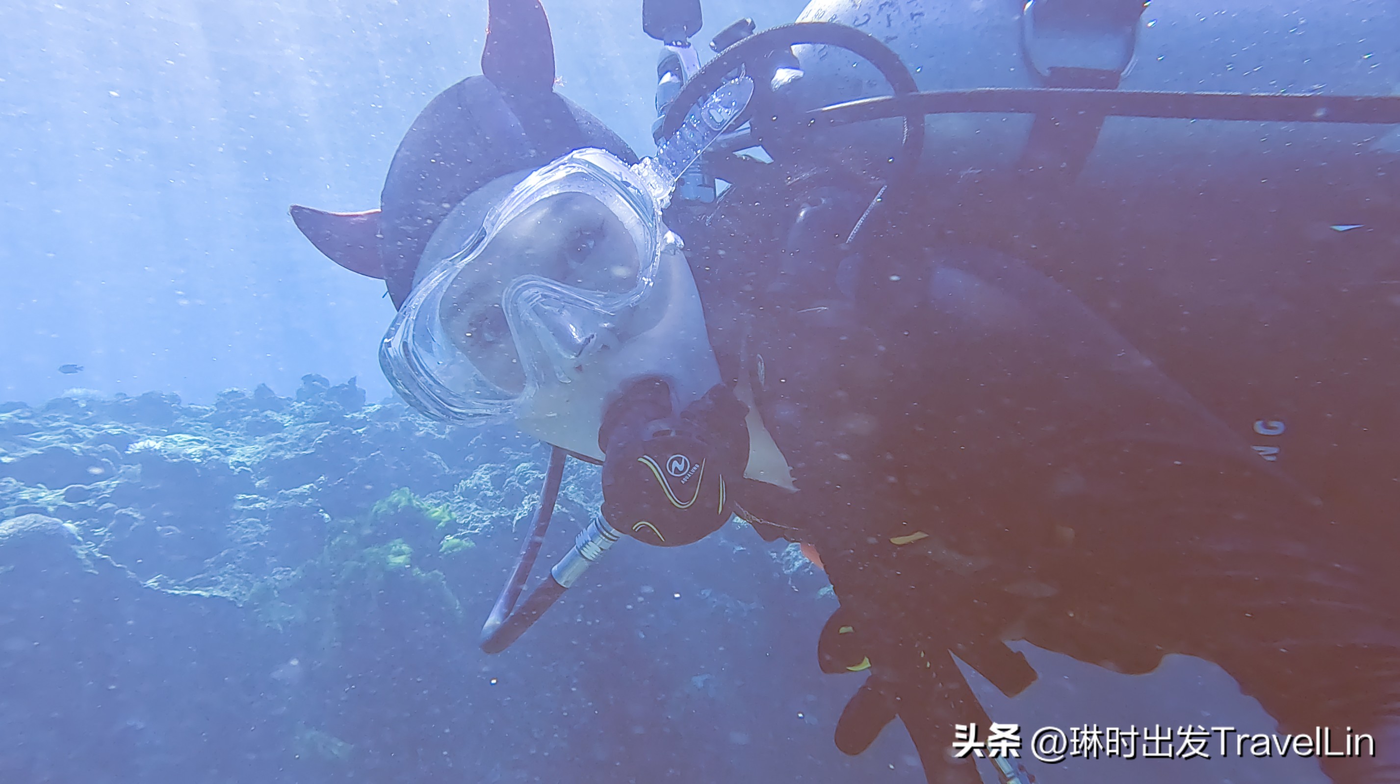 超刺激的海钓视频,超刺激的鲨鱼