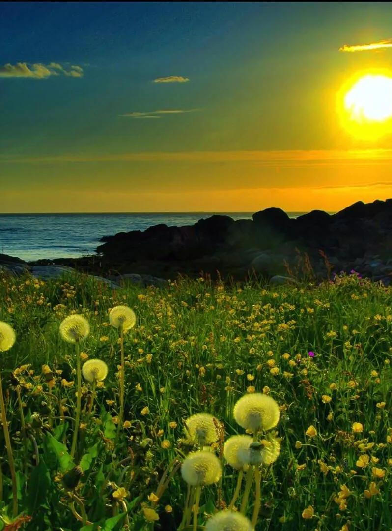 在厦门年薪多少能买房,厦门公务员买房政策