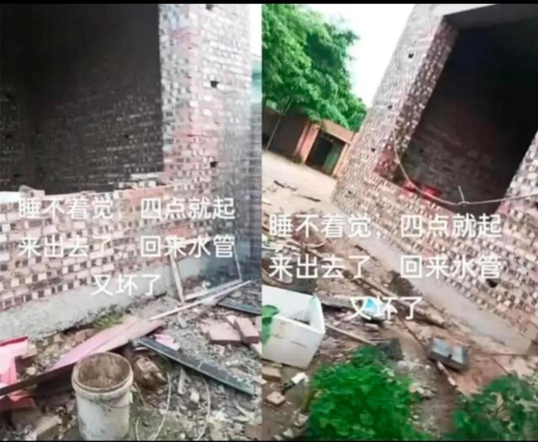 网红樊小慧事件,网红樊小慧最新事件