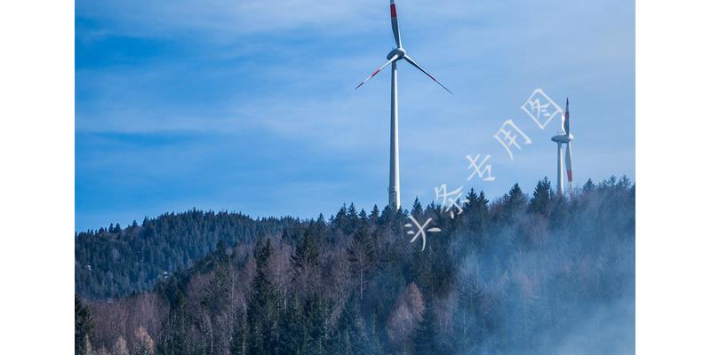 因一块红烧肉，7旬岳父让女婿滚，4年后岳父悔悟，女婿：不会原谅