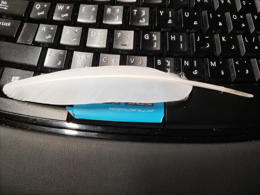 美丽校园行-2|历史生眼中的天津师范大学主校区