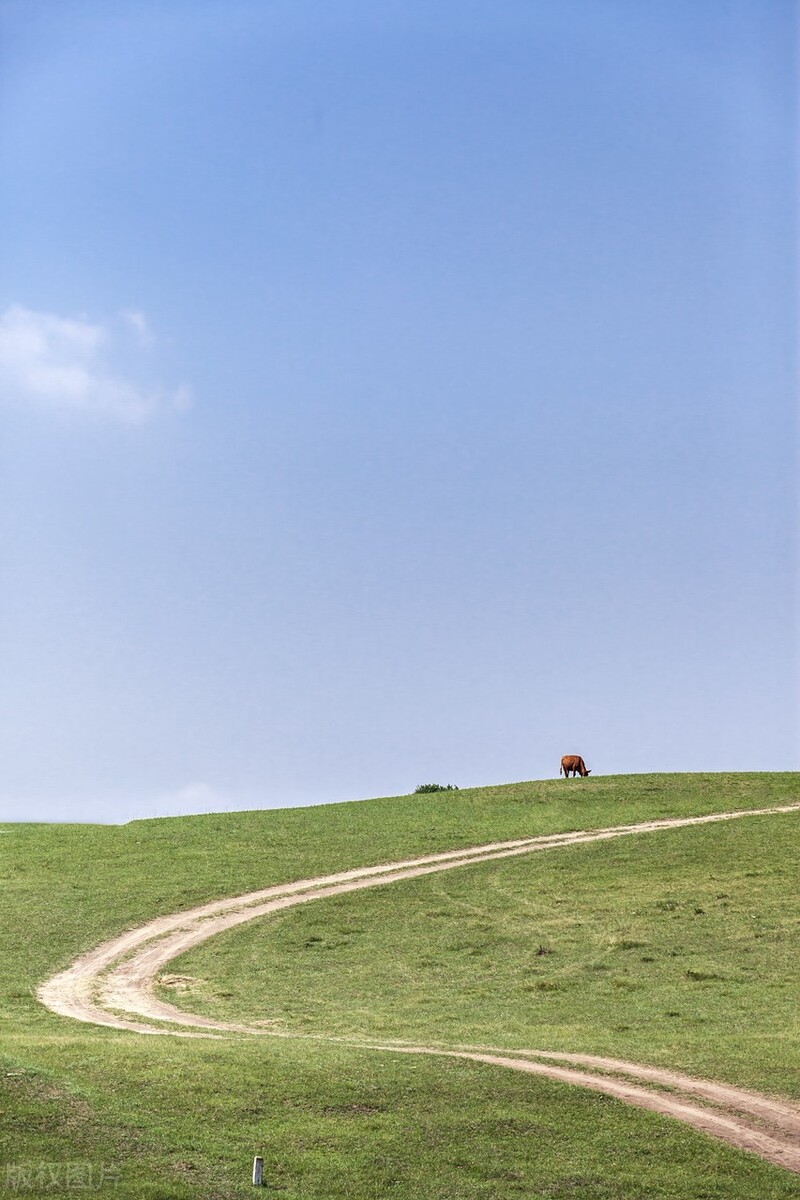 推荐六条绝美的自驾路线,一条绝美的自驾路线推荐