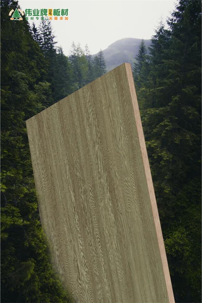 伟业ENF级板材,伟业18厘米enf级生态板