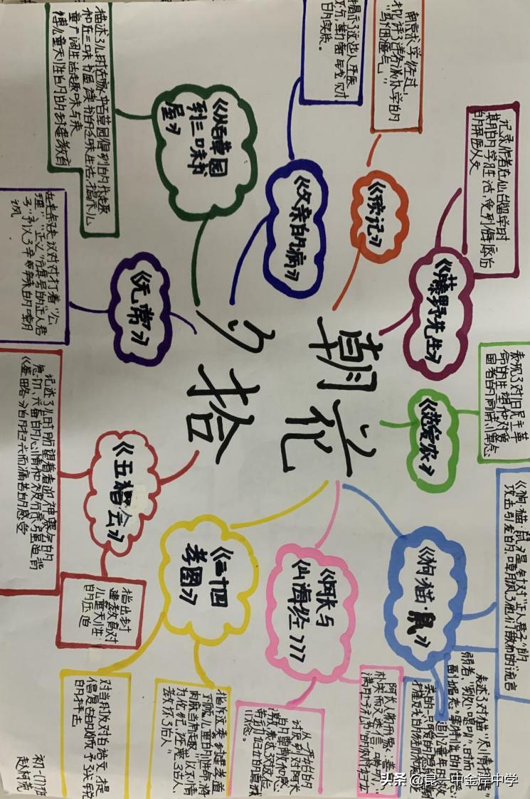 融合创新采撷精彩——《朝花夕拾》之重回百花园，绽放生命的美